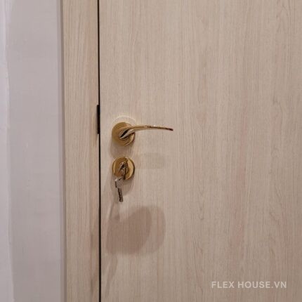 Tay nắm gạt đặc Imundex 73717382 (3)