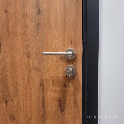 Tay nắm gạt đặc Imundex 73717984 (3)