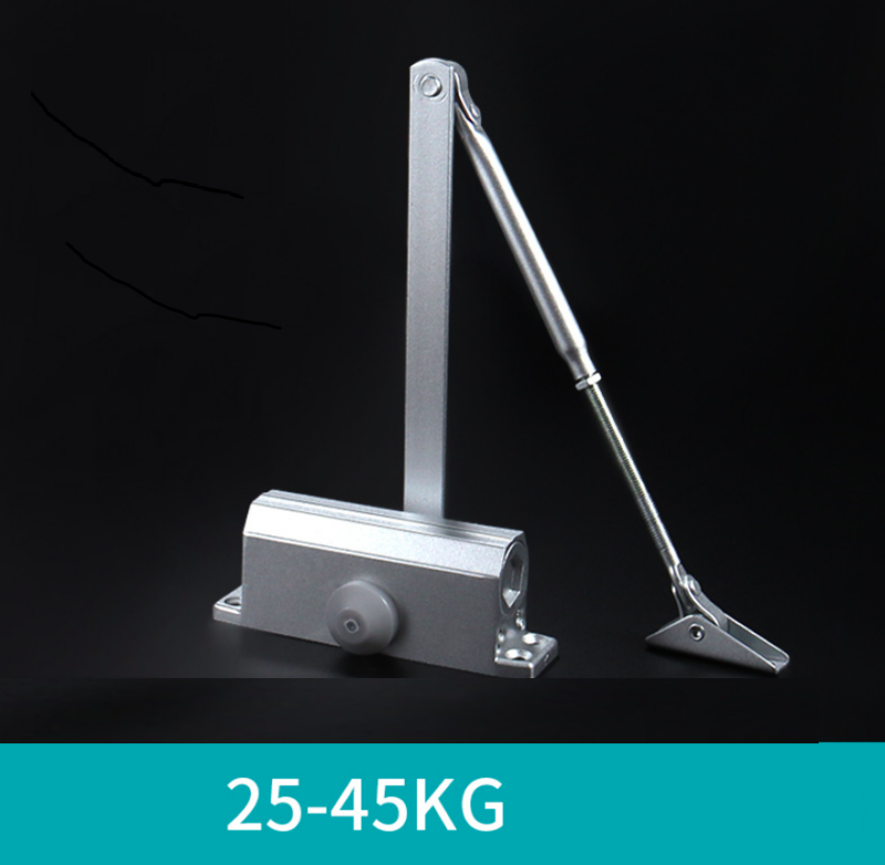 Tay đẩy hơi thủy lực gắn nổi DFL-E004 1