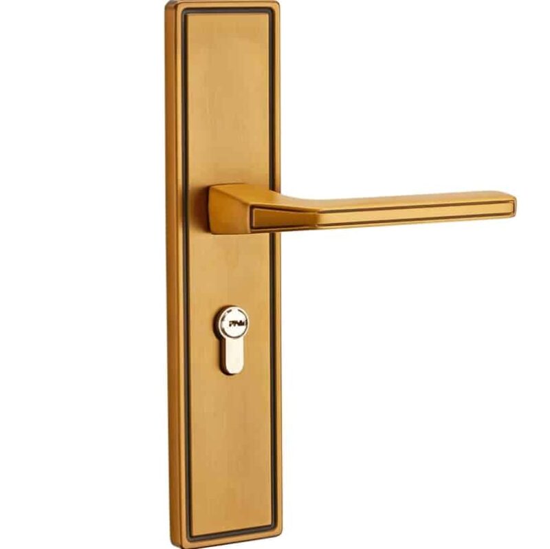 Bộ khóa cửa phòng hiện đại hợp kim nhôm SWW.B10 3