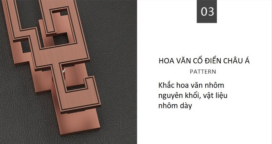Tay nắm cửa cổ điển cho nhà phố biệt thự cao cấp F28 9