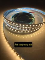 Dây led 2835 12V độ sáng cao IOU-001
