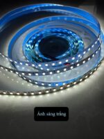 Dây led 2835 12V độ sáng cao IOU-001