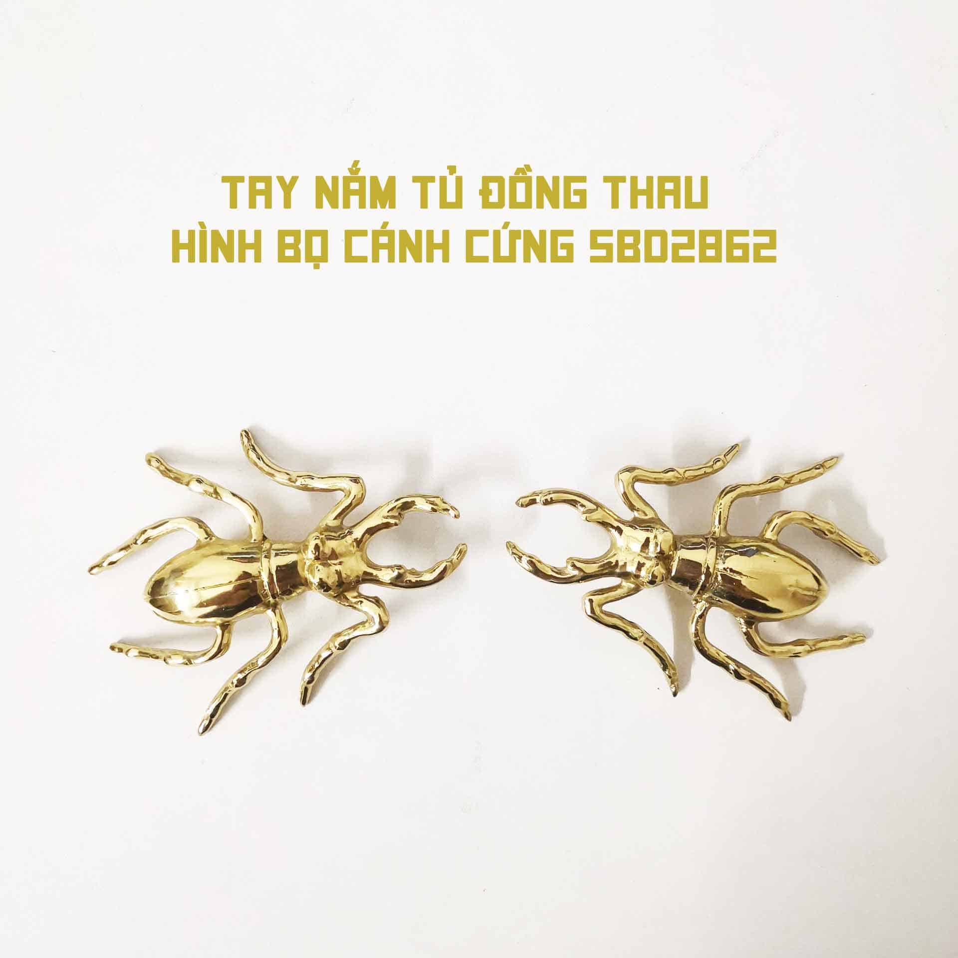 Tay nắm tủ đồng thau hình bọ cánh cứng SBD2862 8