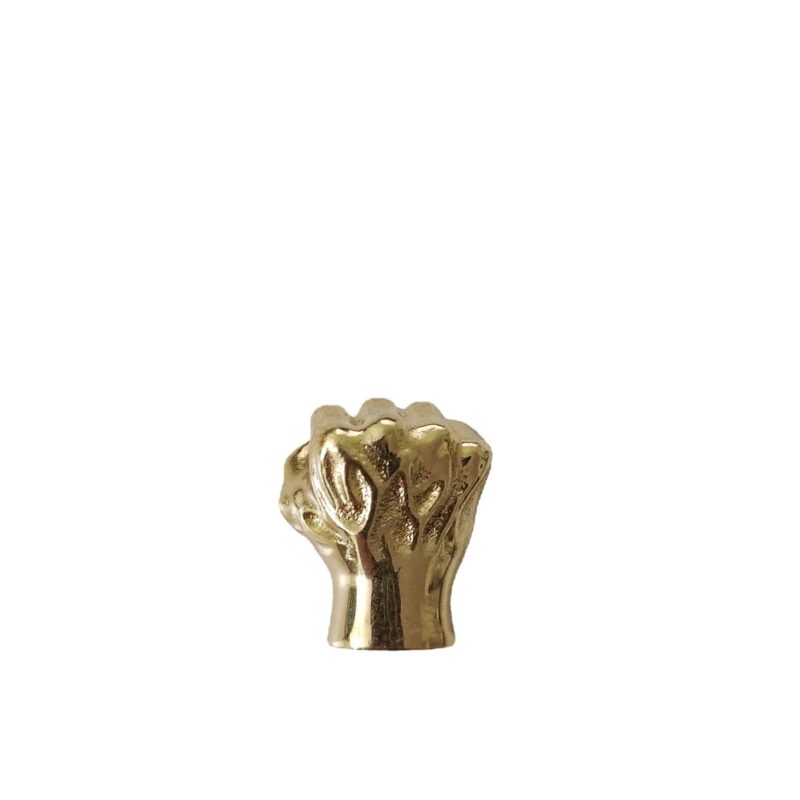 Tay nắm tủ đồng thau nắm tay hùng dũng SBD6344 3
