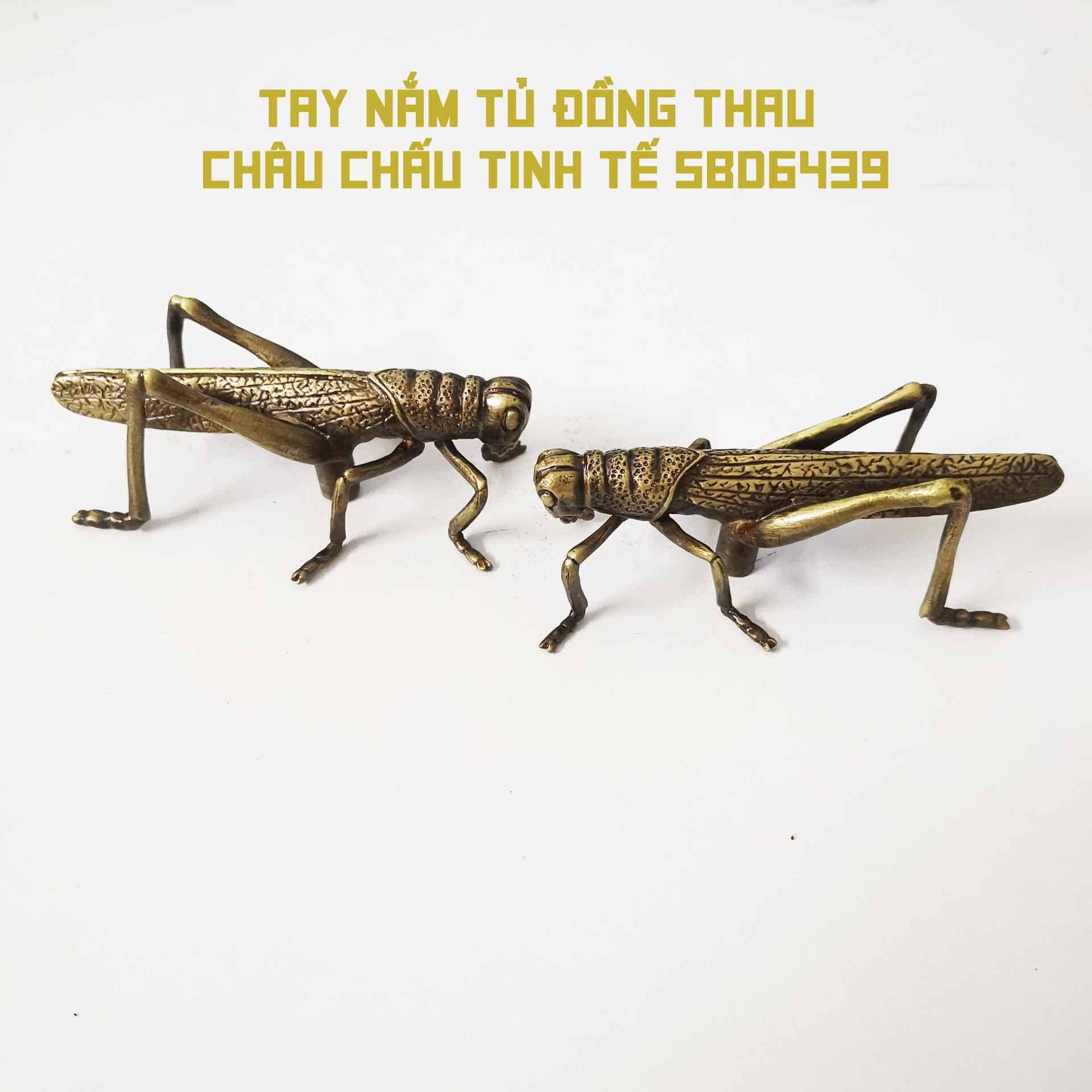 Tay nắm tủ đồng thau châu chấu tinh tế SBD6439 7