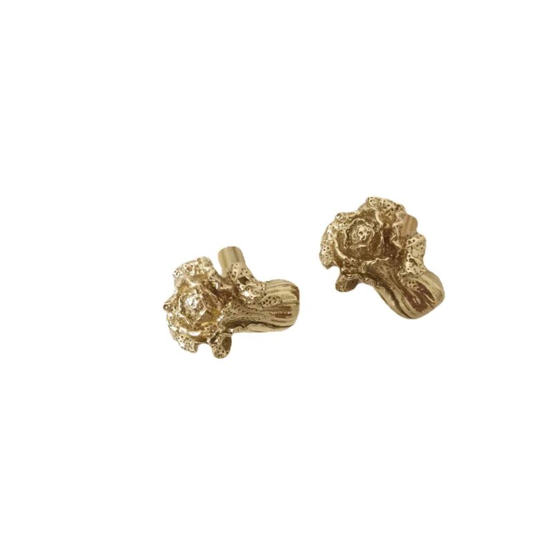 Tay nắm tủ đồng thau bắp cải bé con SBD6524 5