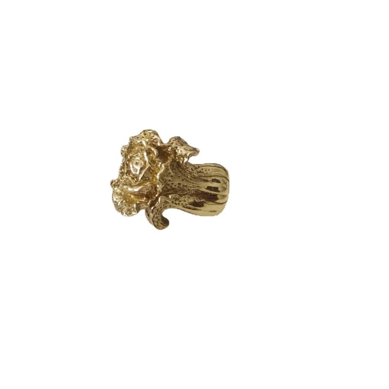 Tay nắm tủ đồng thau bắp cải bé con SBD6524 1