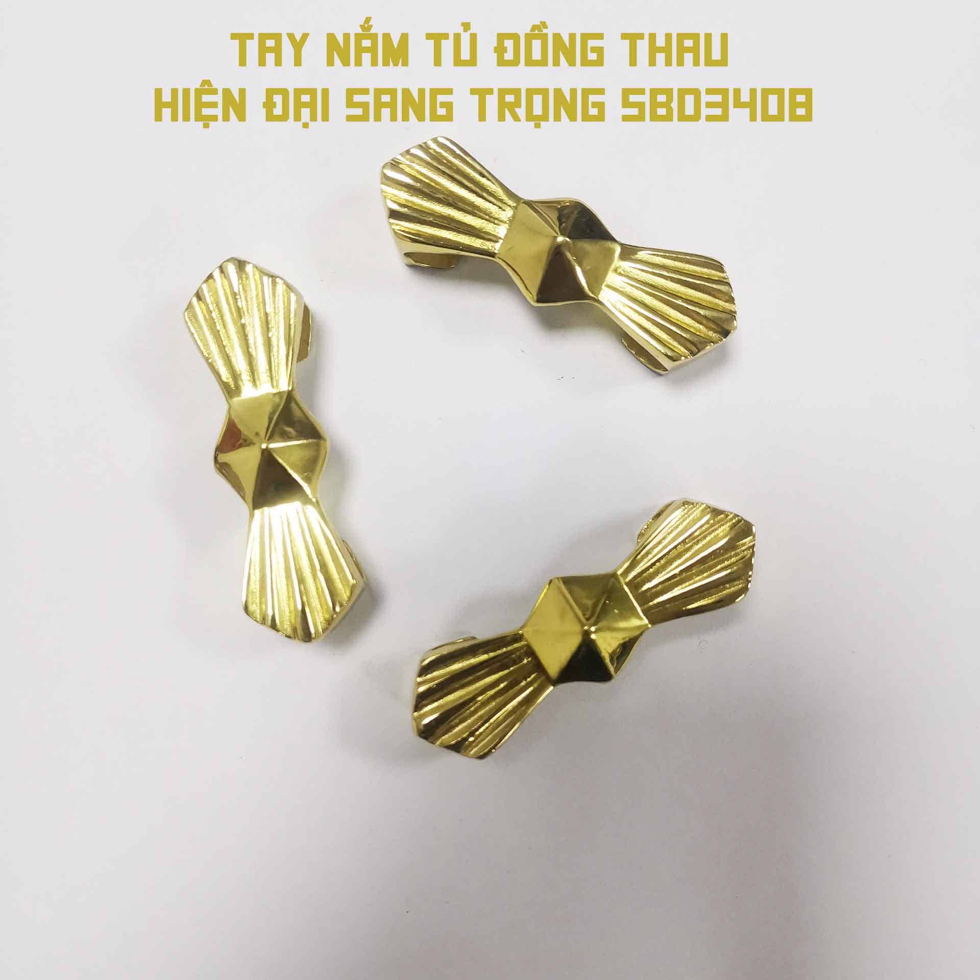 Tay nắm tủ đồng thau hiện đại sang trọng SBD3408 9