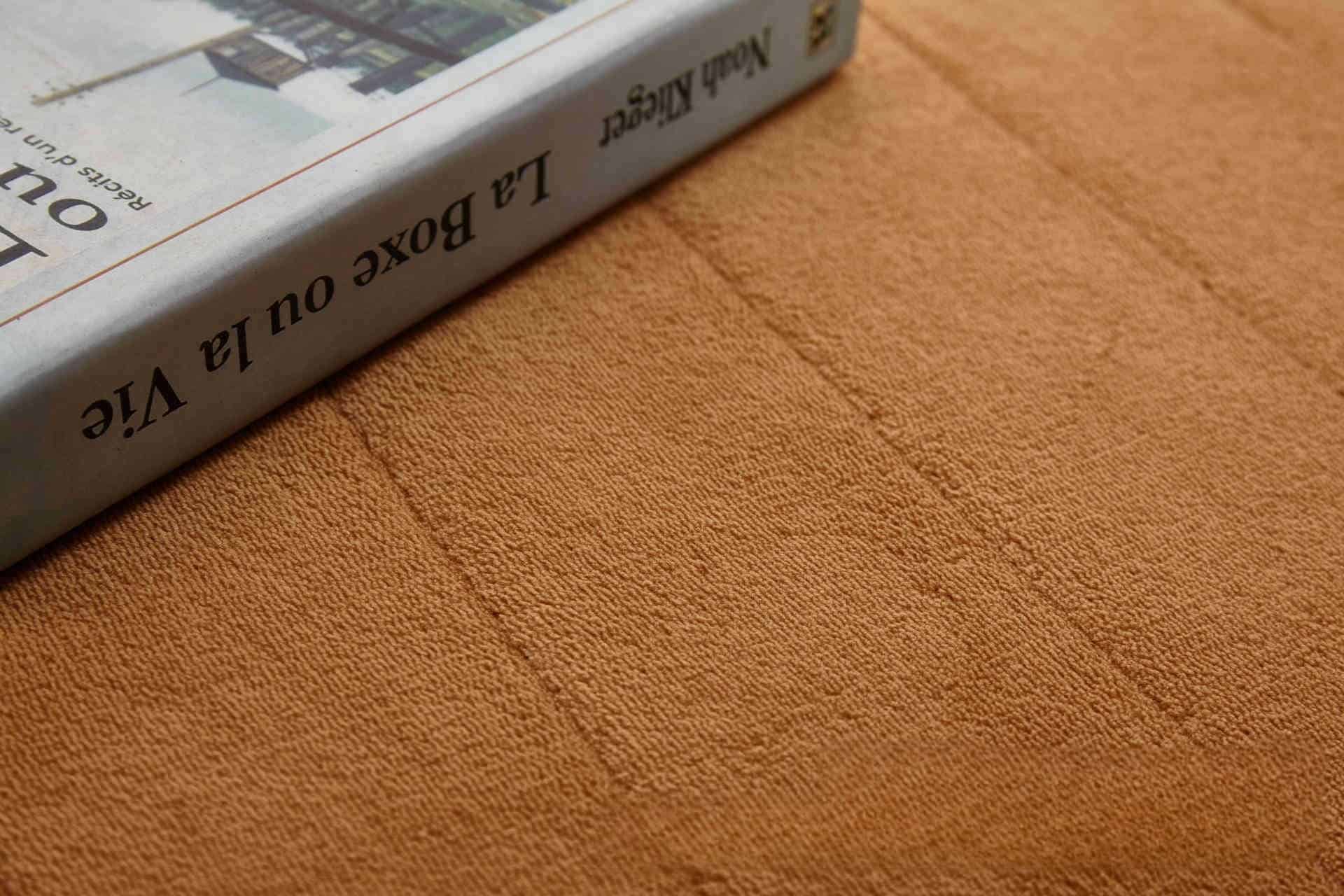 Thảm trải sàn nhà tắm vải bông siêu thấm LT2964 6