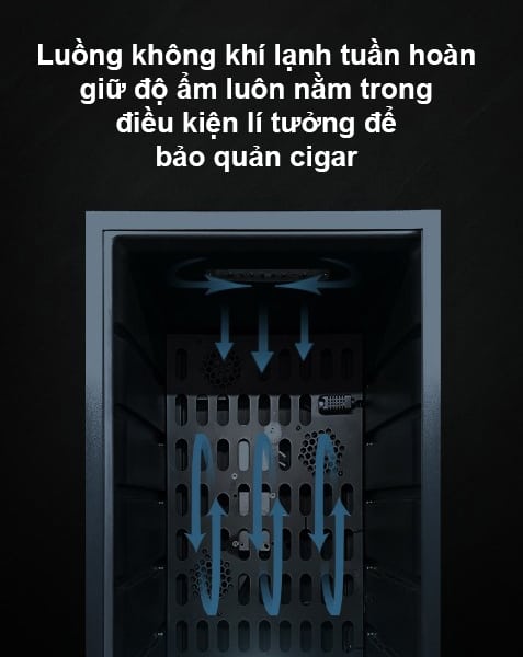 Tủ bảo quản cigar kệ gỗ sồi 280 lít SW3397 8
