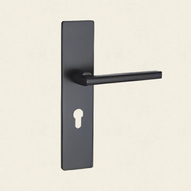 Khoá tay gạt thông phòng bằng inox tối giản DL2472 4