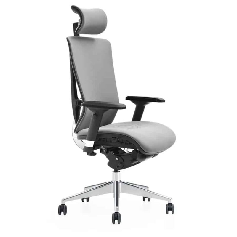 Ghế công thái học Ergonomic cho giám đốc T-086A-F 2