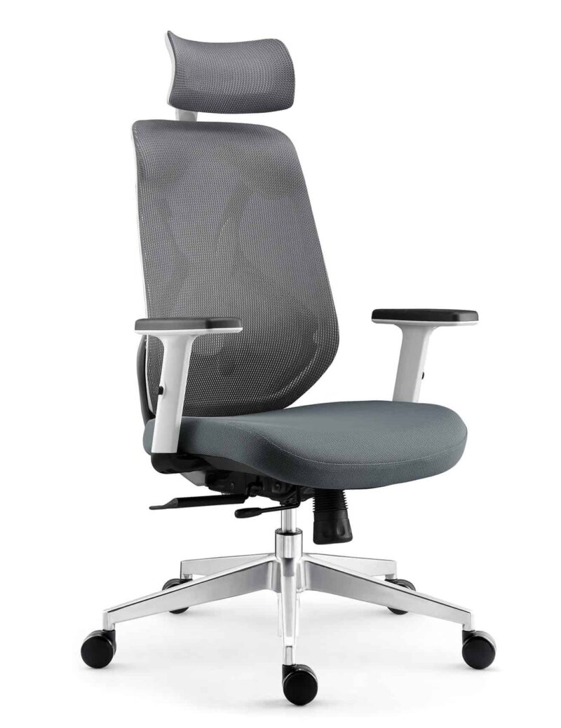 Ghế làm việc thư giãn công thái học FH9697 2
