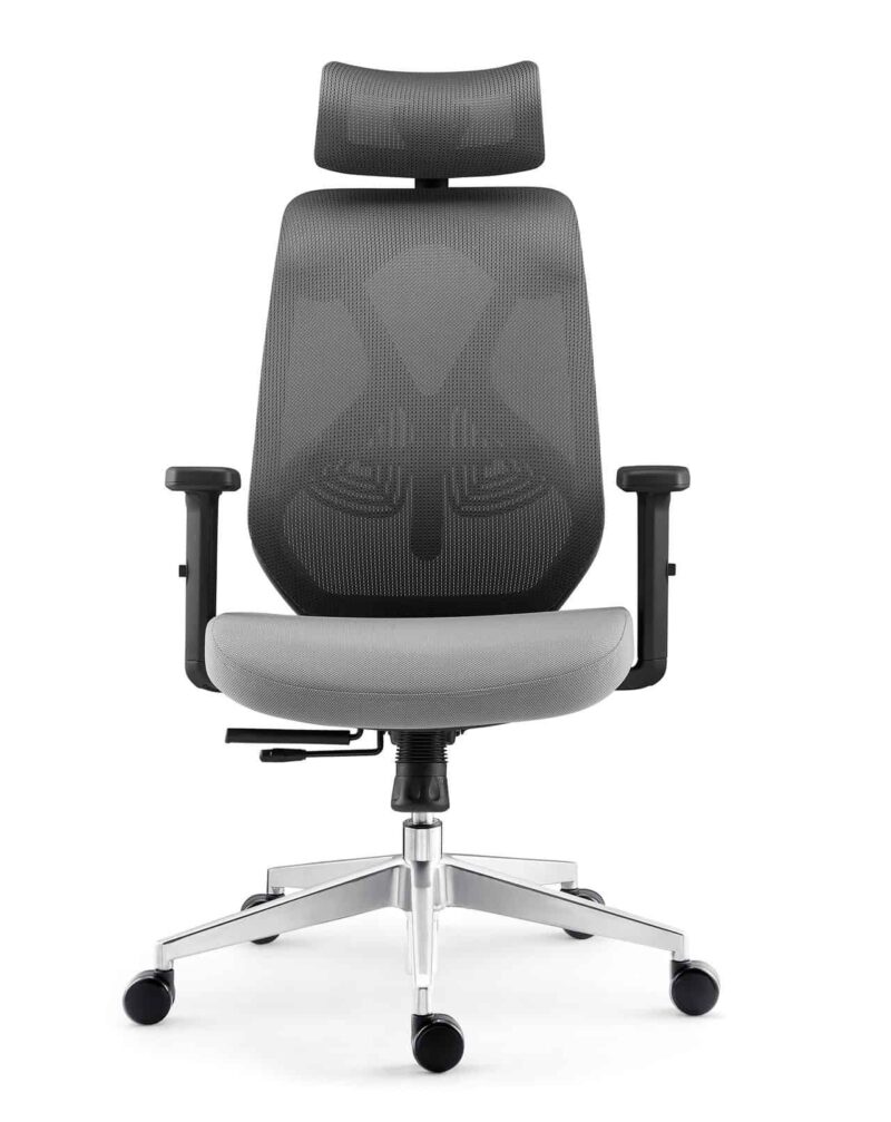 Ghế làm việc thư giãn công thái học FH9697 2