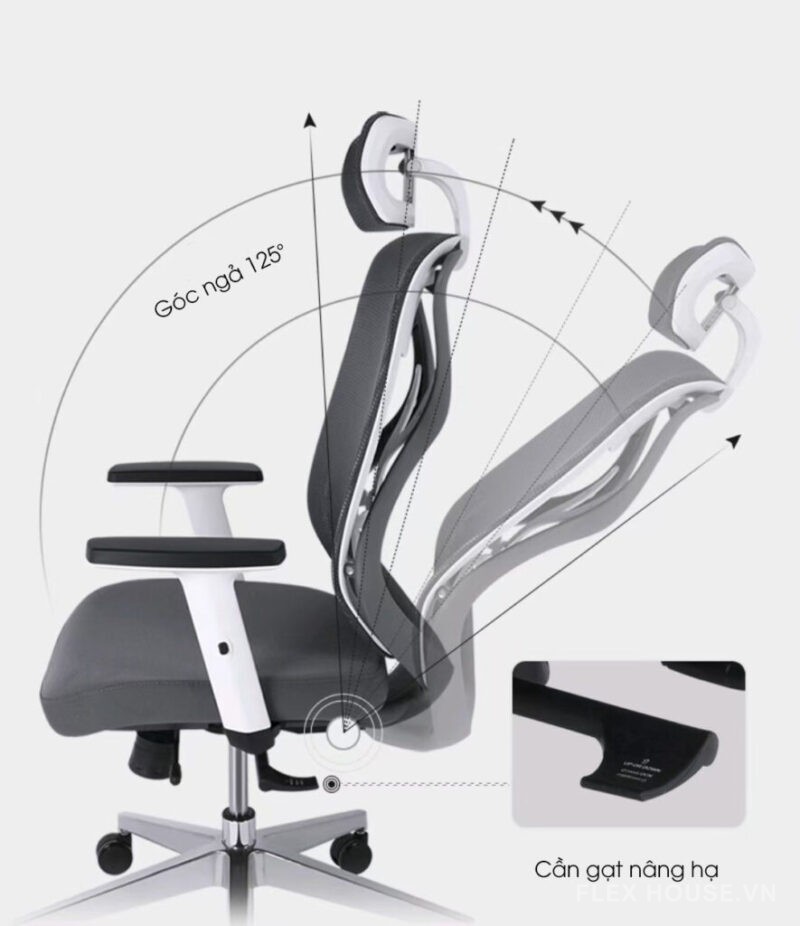 Ghế làm việc thư giãn công thái học FH9697