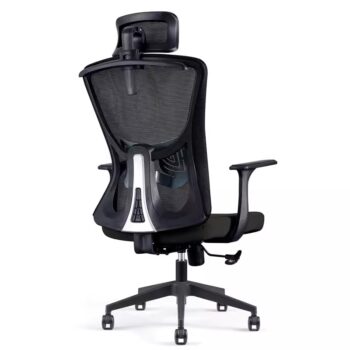 Ghế văn phòng công thái học tựa đầu ngả lưng FZ902