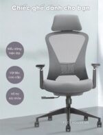 Ghế xoay công thái học cho văn phòng DK2-BH02