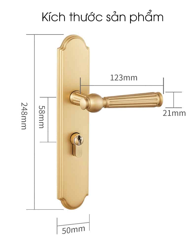 Khóa tay gạt đồng vàng PVD tân cổ điển R8155 13