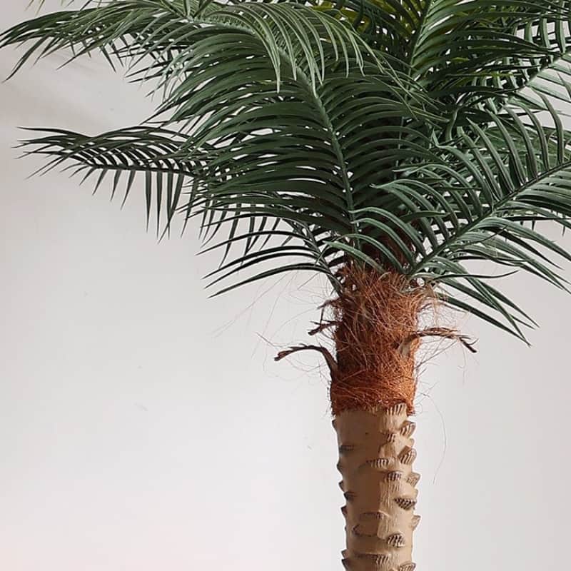 Đèn sàn trang trí hình cây dừa sáng tạo YS0982 4