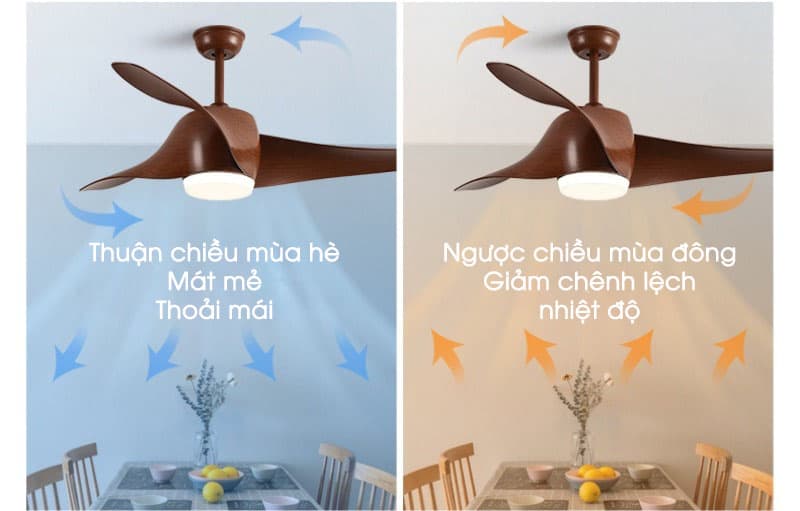 Quạt trần đèn kiểu cánh cong ấn tượng SW1603 5