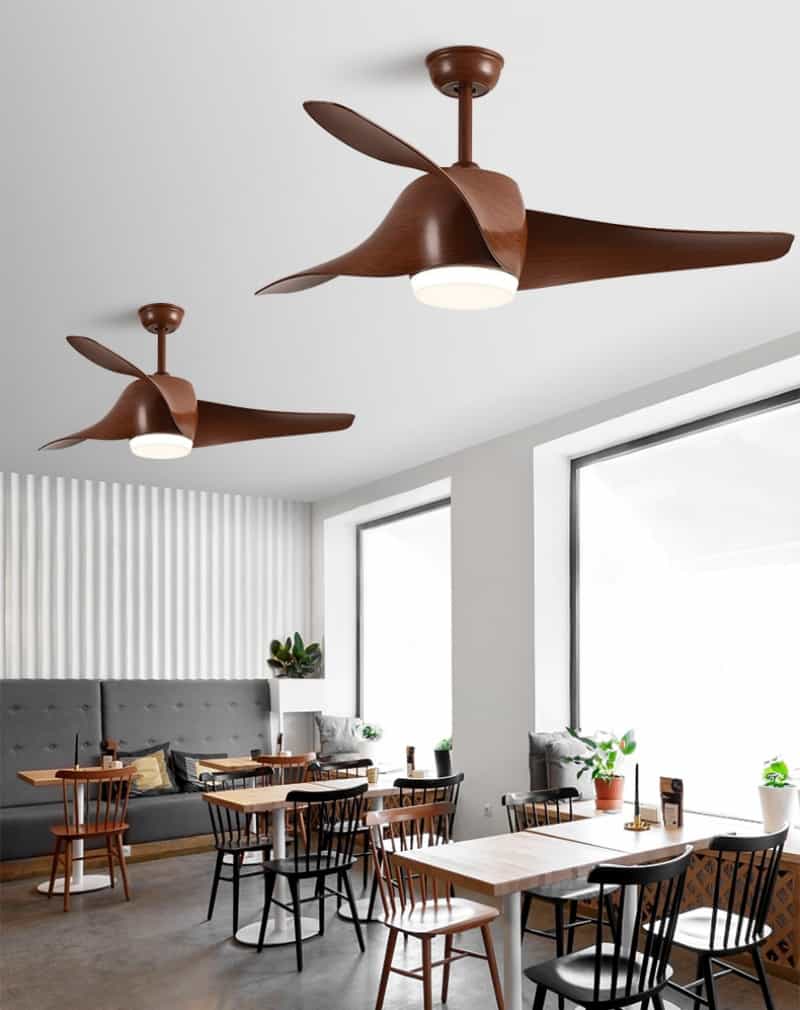 Quạt trần đèn kiểu cánh cong ấn tượng SW1603 4