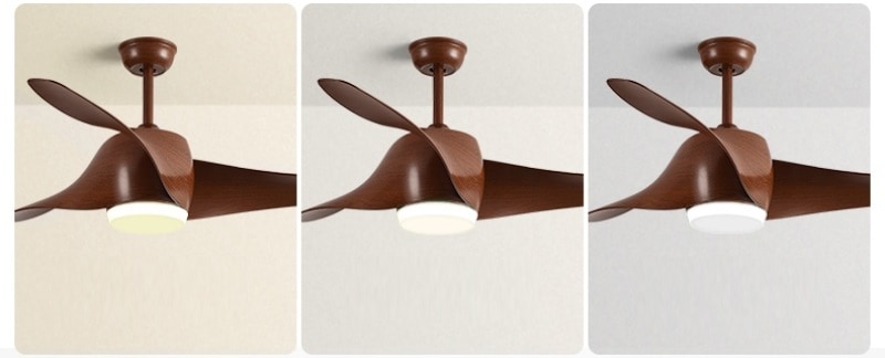 Quạt trần đèn kiểu cánh cong ấn tượng SW1603 6