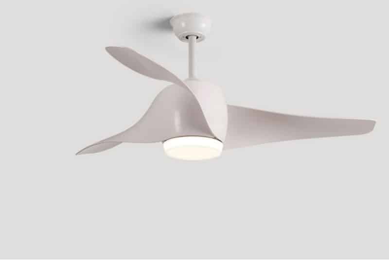 Quạt trần đèn kiểu cánh cong ấn tượng SW1603 11