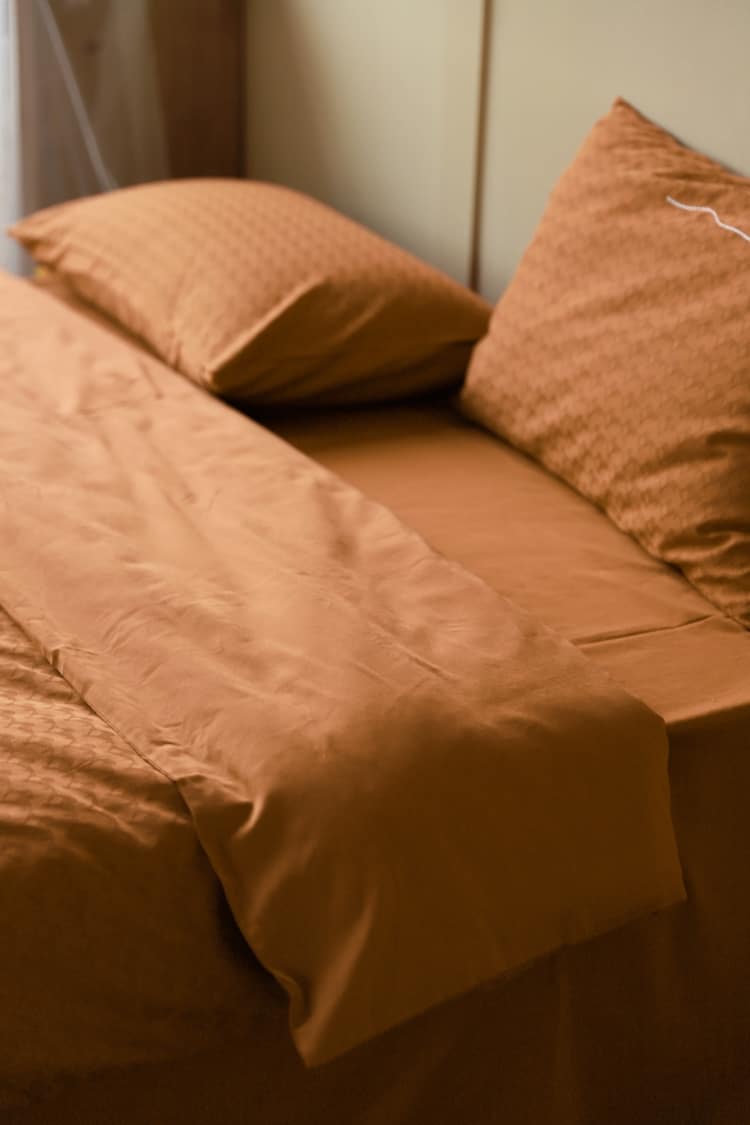 Bộ chăn ga giường gối màu sắc hoàng gia ZH6537 9