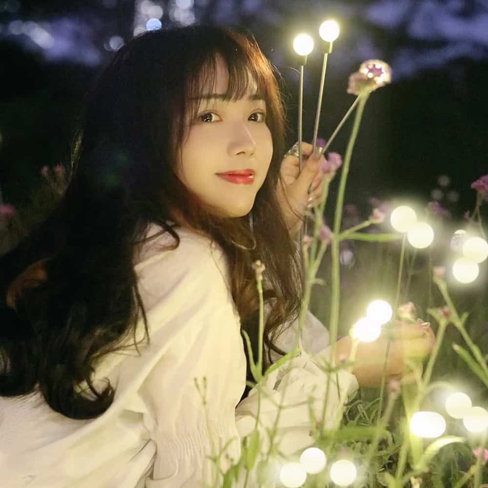 Đèn LED đom đóm trang trí sân vườn AMJ006 12