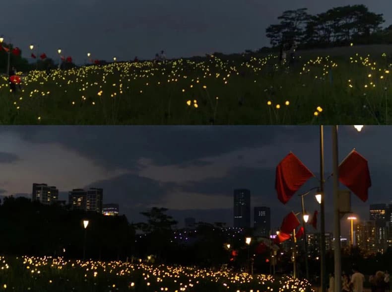 Đèn LED đom đóm trang trí sân vườn AMJ006 11