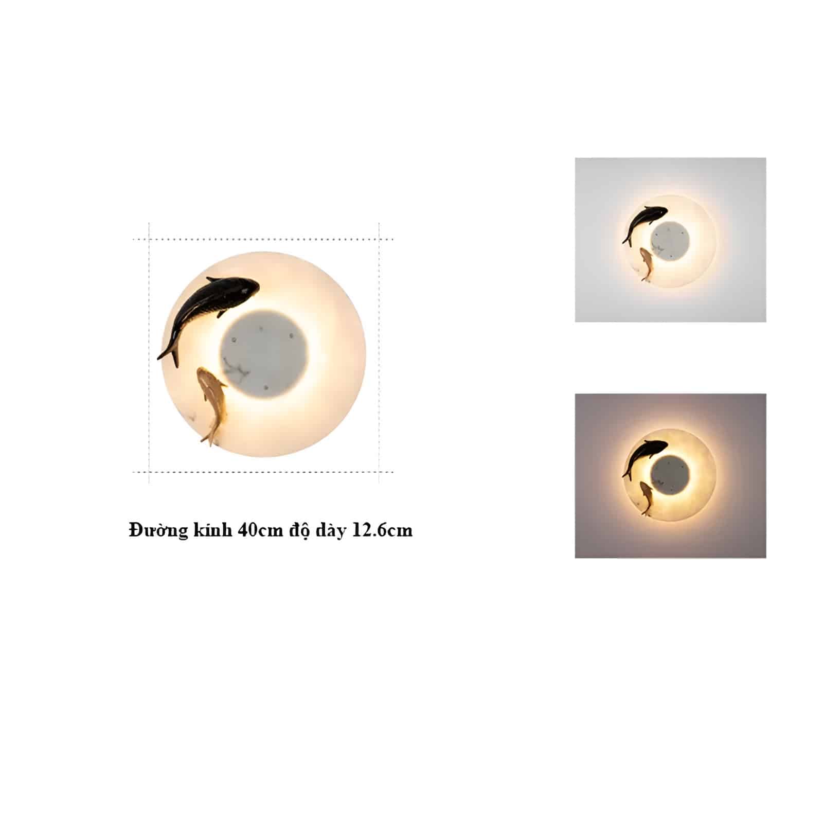 Đèn ốp tường ngoài trời đàn cá bơi lội B1179 12