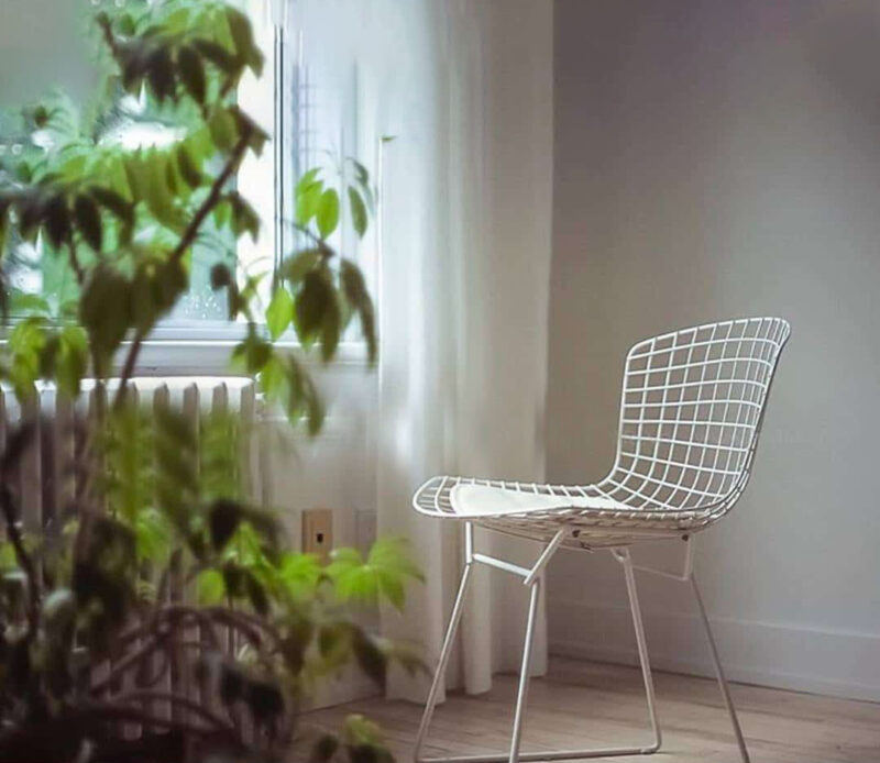Ghế ăn cao cấp Harry Bertoia Chair SE5412 3