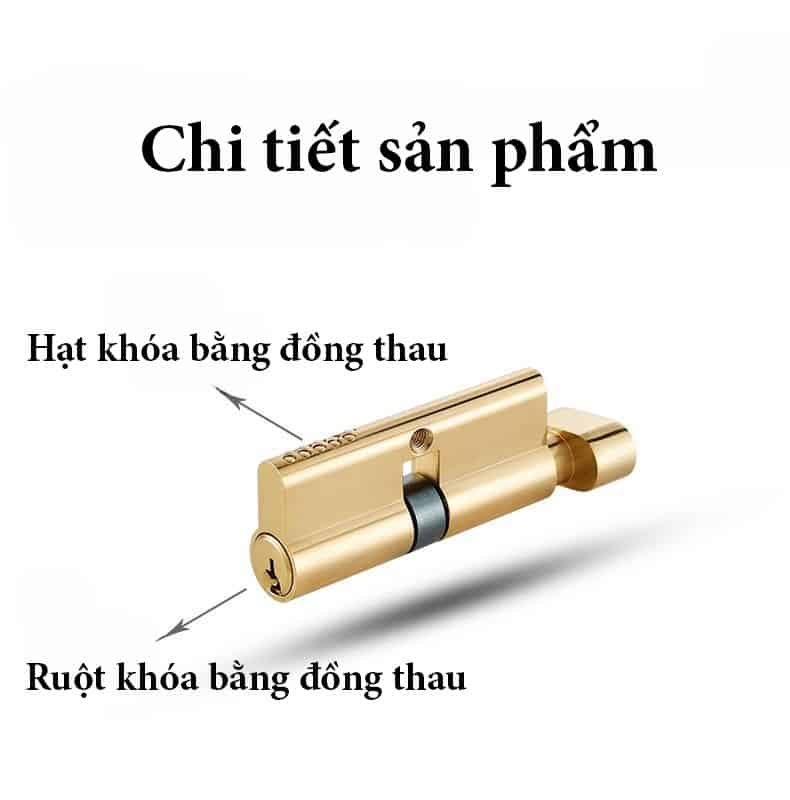 Khóa cửa tay gạt uốn lượn mạ vàng RG962 19