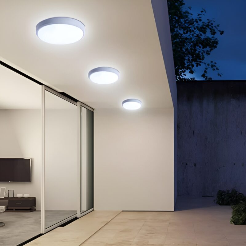 Đèn ốp tường chống nước trang trí ngoại thất LI9028 4
