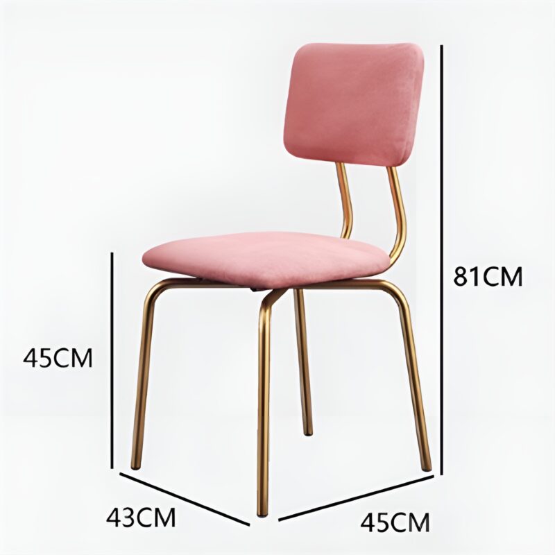 Ghế bàn ăn sang trọng chân sắt nghệ thuật GA5815 3