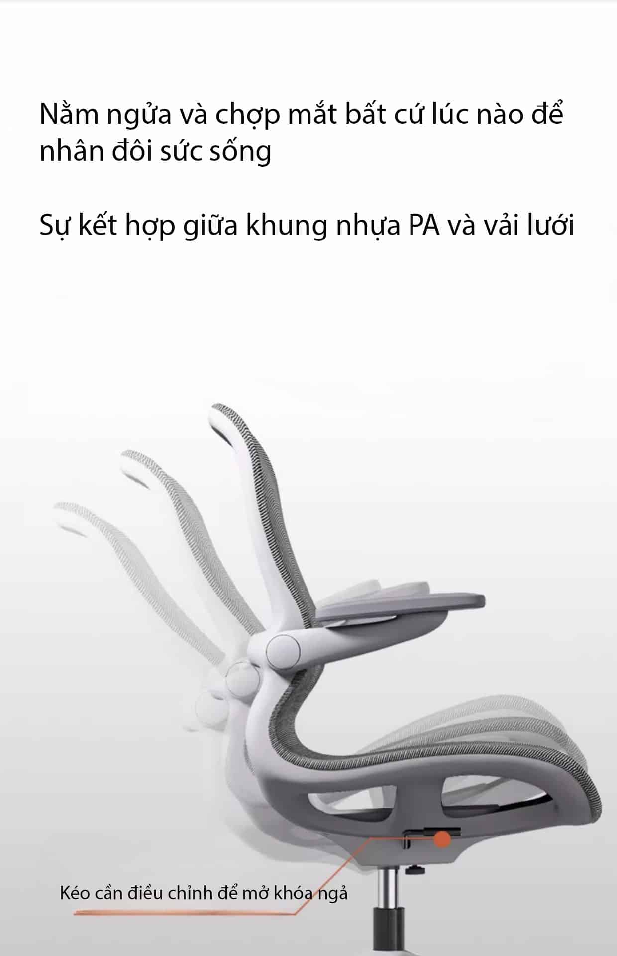 Ghế công thái học tay vịn nâng xoay cao cấp EW7186 10