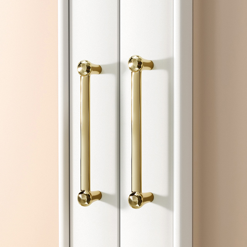 Tay nắm tủ hợp kim kẽm sang trọng WC7006 4