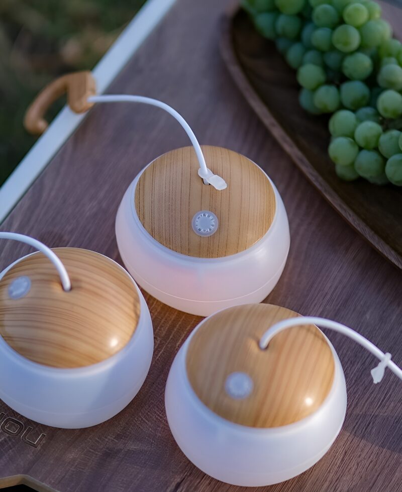 Đèn Led cắm trại chiếu sáng quan cảnh MD6843 4