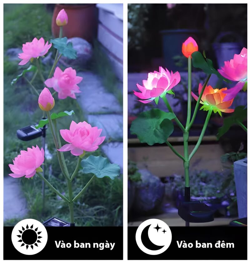 Đèn hoa sen lụa cắm đất năng lượng mặt trời IL6586 5