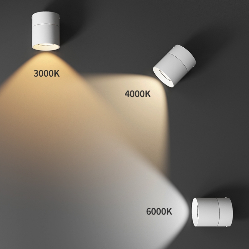 Đèn LED spotlight rọi tranh gập góc 90 độ FD3656 11