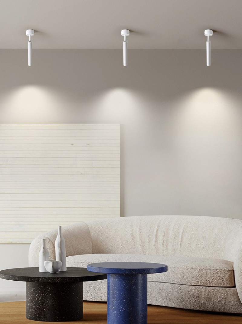 Đèn trần spotlight rọi showroom rọi tranh SD3007 6