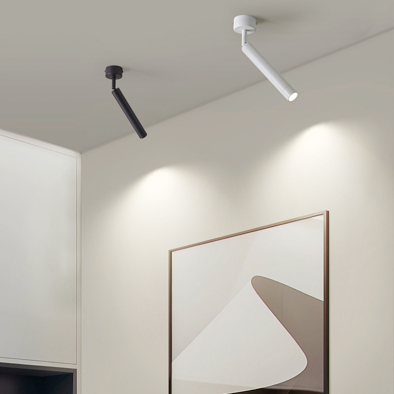 Đèn trần spotlight rọi showroom rọi tranh SD3007 7