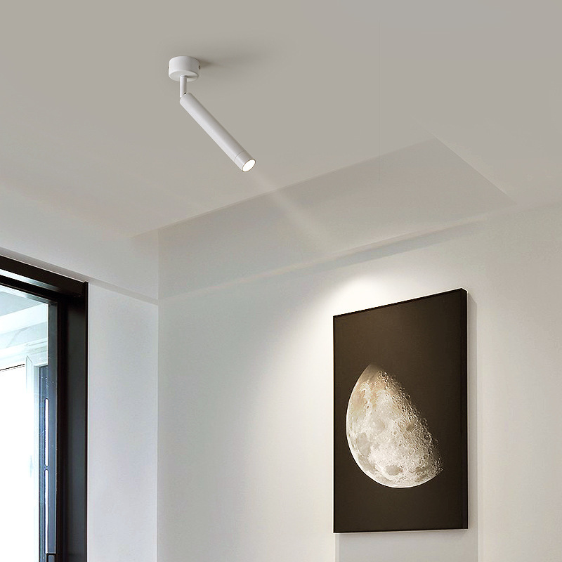 Đèn trần spotlight rọi showroom rọi tranh SD3007 4