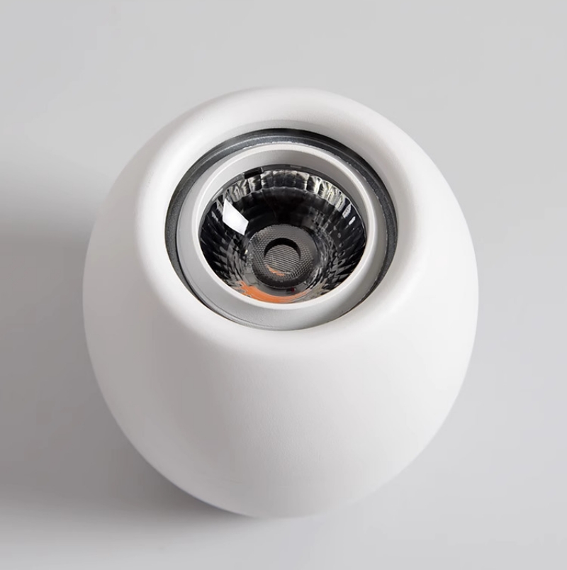 Đèn LED downlight hình quả trứng hiện đại SZ1616 11