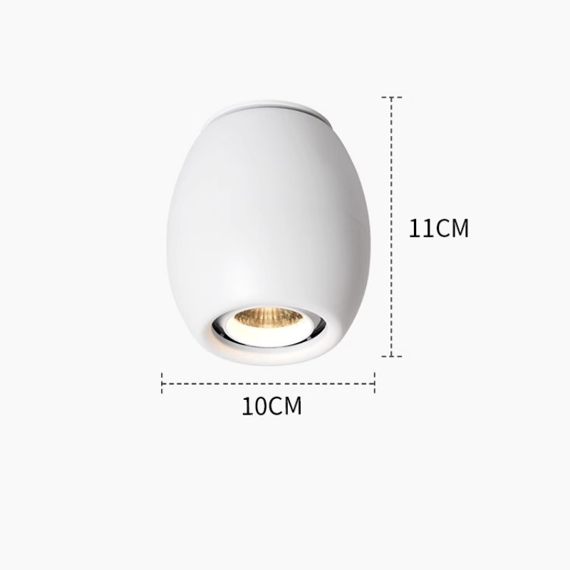 Đèn LED downlight hình quả trứng hiện đại SZ1616 13