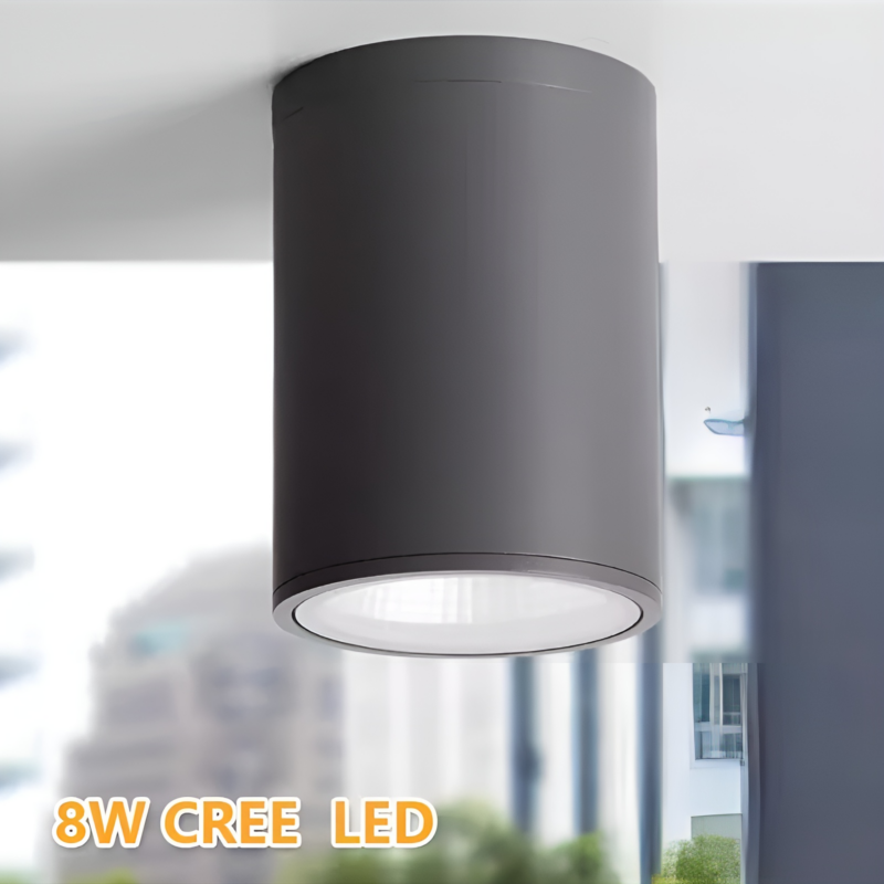 Đèn downlight ốp trần ban công mái hiên C9138 3