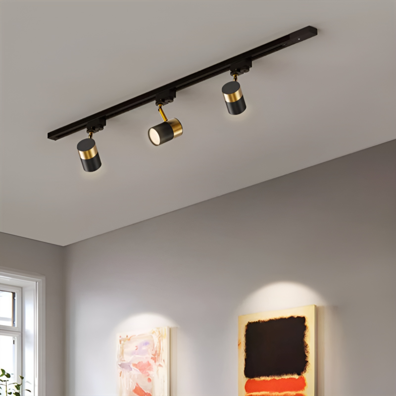 Đèn rọi ray trượt chiếu sáng phòng khách showroom QR3030 1