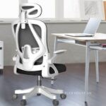 Ghế Ergonomic công thái học lưng lưới đệm cao su HF8850