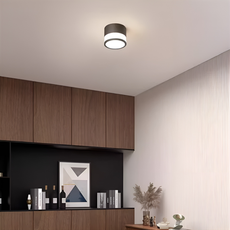 Đèn trần downlight phong cách đơn giản hiện đại QY9317 1